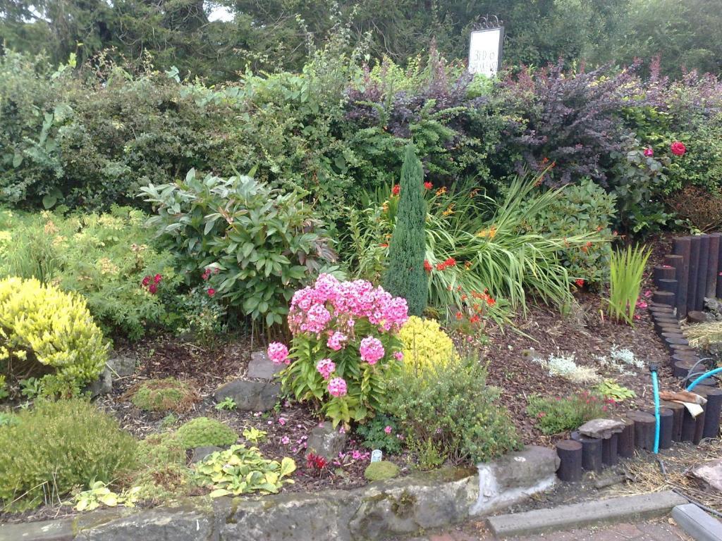 Hillview Cottage Stirling Zimmer foto