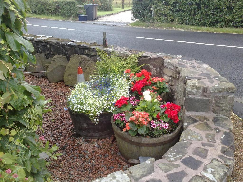 Hillview Cottage Stirling Zimmer foto